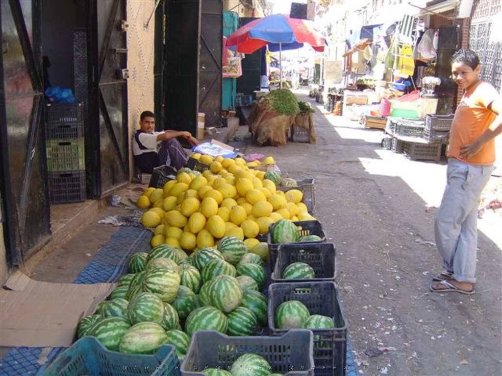 ORAN AOUT 2007 etalage de pasteques et de melons gambetta.JPG